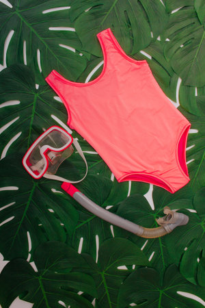 Women's swimsuit and accessories on a background of green leaves.