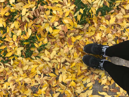 autumnの写真素材