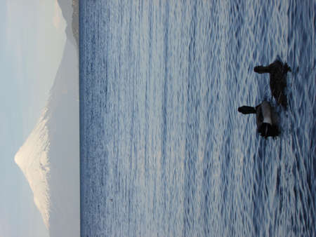 Waves on the surface of the sea. The water in the sea.の写真素材