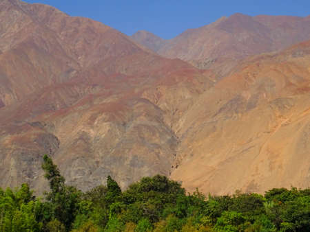 colorful mountains under a blue cloudless sky over a dense group of green treesの写真素材