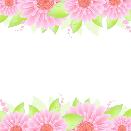 Pink Gerbers, Isolated On White Background, Vector Illustrationのイラスト素材
