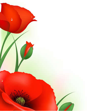 Spring Card With Red Poppies, Vector Illustrationのイラスト素材