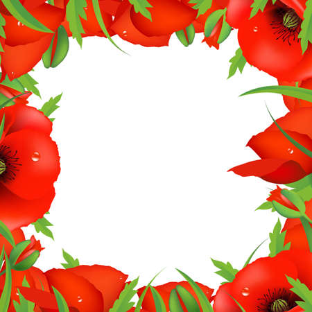 Red Poppy Frame, Vector Illustrationのイラスト素材