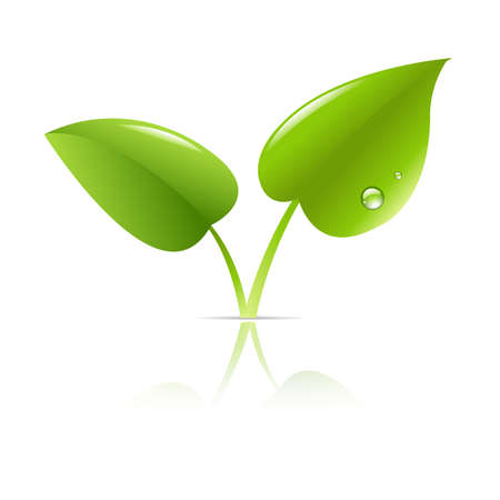 2 Green Leaf, Illustration
のイラスト素材