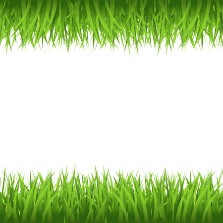 Grass Border, Isolated On White Background, Vector Illustrationのイラスト素材
