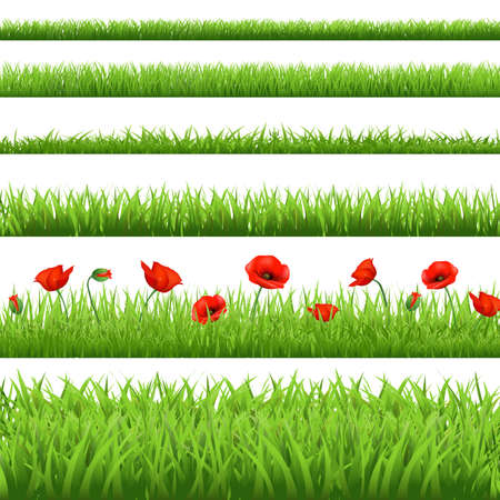 Green Grass Set With Red Poppy, Isolated On White Background, Vector Illustration

のイラスト素材