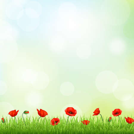 Red Poppy And Grass Border, Vector Backgroundのイラスト素材