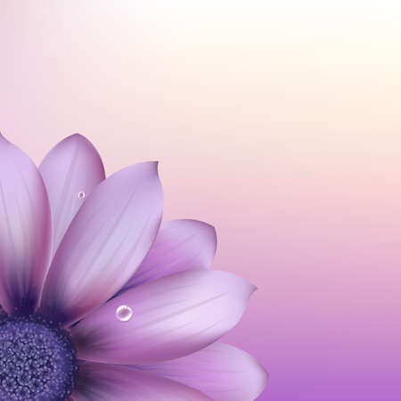 Fresh Purple Gerberのイラスト素材