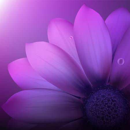 Fresh Violet Gerberのイラスト素材