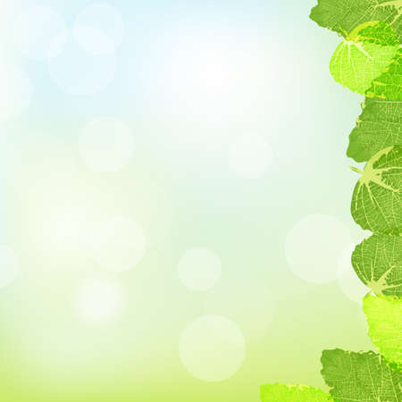 Green Leaves Frame With Bokeh And Blur, Vector Illustrationのイラスト素材
