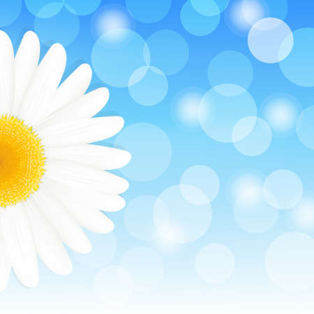 Flower Daisy And Blue Sky, Vector Illustrationのイラスト素材