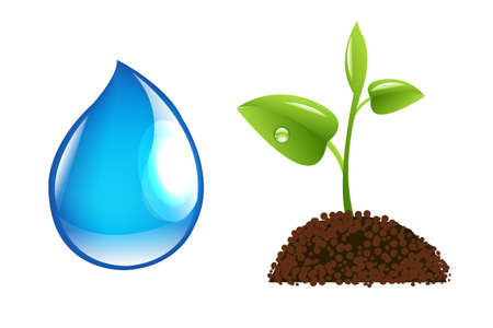 Water Drop And Green Sproutのイラスト素材