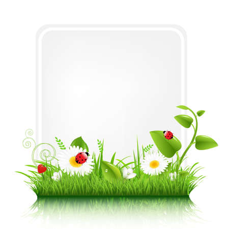 Blank Gift Tag With Grass Border Illustrationのイラスト素材