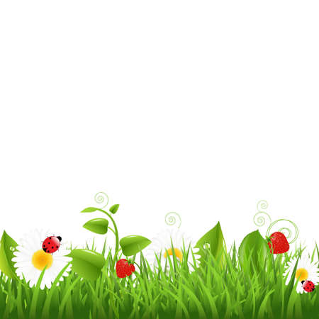 Grass Border With Ladybug And Leaf Illustrationのイラスト素材