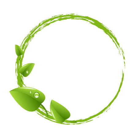 Green Ball And Green Leafs, Isolated On White Background Illustrationのイラスト素材