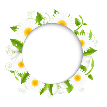 Summer illustration With Camomiles, Isolated On White Background Illustrationのイラスト素材