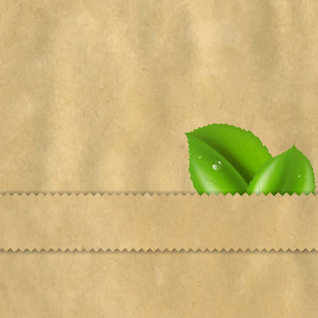 Retro Vintage Paper With Leaves, Illustrationのイラスト素材