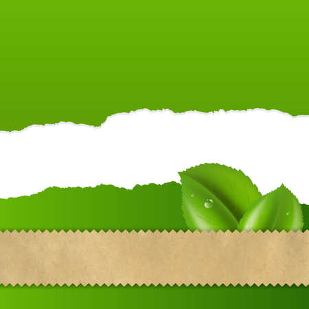 Green Leaf With Fragmentary Paper With Gradient Mesh, Vector Illustrationのイラスト素材