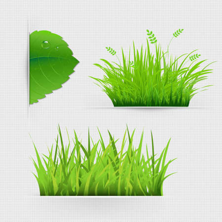 Set Of Dividers With Grass With Gradient Mesh, Vector Illustrationのイラスト素材