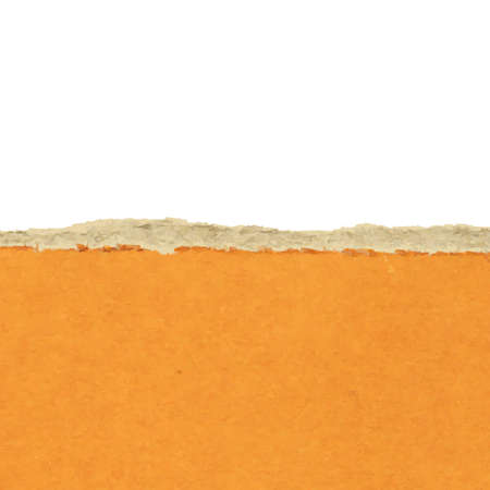 Ripped Paper, Vector Illustrationのイラスト素材