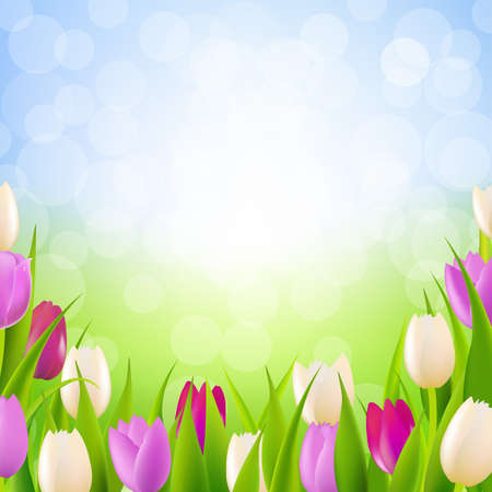 Nature Card With Tulips With Gradient Mesh, Vector Illustrationのイラスト素材