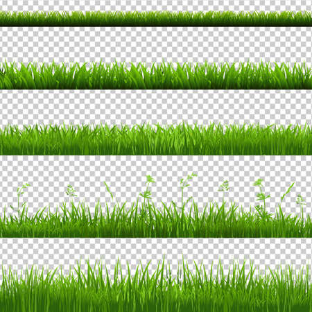 Green Grass Borders Big Set, Isolated on Transparent Background, Vector Illustrationのイラスト素材