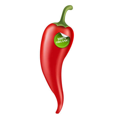 Hot Pepper With Gradient Mesh, Vector Illustrationのイラスト素材