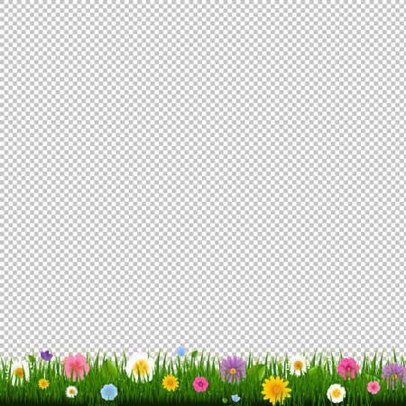 Grass And Border Transparent Background With Gradient Mesh, Vector Illustrationのイラスト素材
