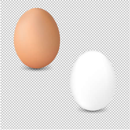 2 Fresh Egg Isolated Transparent Background With Gradient Mesh, Vector Illustrationのイラスト素材