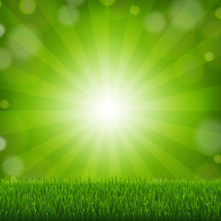 Green Grass With Sunburst Background With Gradient Mesh, Vector Illustrationのイラスト素材