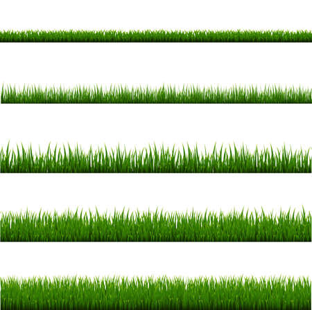 Green Grass Frame Set And Isolated White Background, Vector Illustrationのイラスト素材