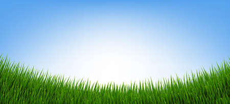 Green Grass Border And Isolated Blue Backgroundのイラスト素材