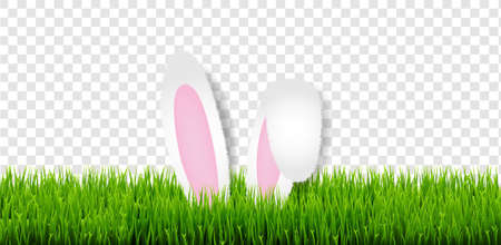 Easter Card With Easter Grass And Bunny Ears Transparent Backgroundのイラスト素材