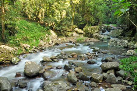 Cave Creek at Natural Bridge, Australiaの写真素材