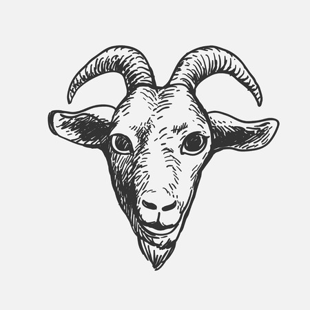 Goat Face, hand drawn doodle style scribble, isolated vector illustration icon on a white backgroundのイラスト素材