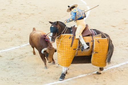 Corrida. Fighting in a typical Spanish Bullfight