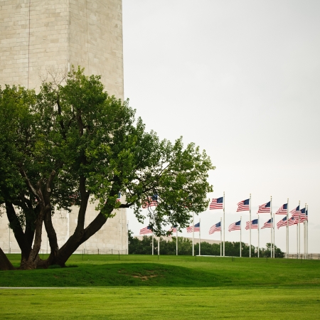 Ring of flags surrounding the Washington Monumentのeditorial素材