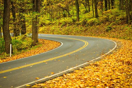 An empty S-Curved road on skyline drive.の写真素材