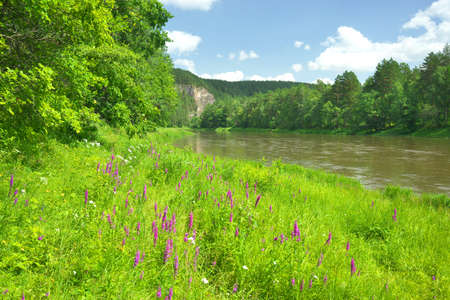 Rock wall on the river Ai, Chelyabinsk region, Bashkiria.の写真素材