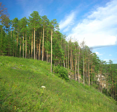 Rock wall on the river Ai, Chelyabinsk region, Bashkiria.の写真素材