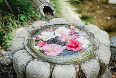Japanese style water fountain with japanese cherry blossoms and flowers