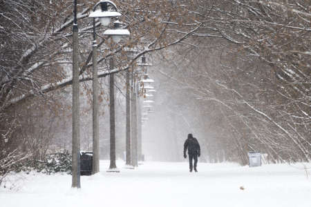 TORONTO - DECEMBER 29 - Pedestrian walks on the road buried by left over from the snowstorm . The snow storm hits Toronto, Canada on December 27, 2012 after knocking out power to thousands of homes in the U.S..のeditorial素材