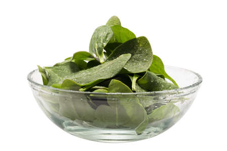 Fresh spinach in a bowl  Clipping path included の写真素材