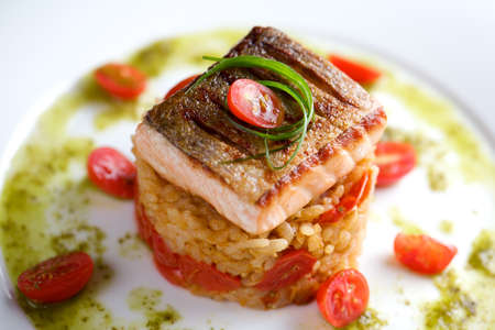 Closeup of pan fried salmon on the rice