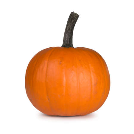 Single pumpkin isolated on the whiteの写真素材