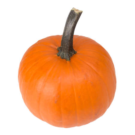 Single pumpkin isolated on the whiteの写真素材