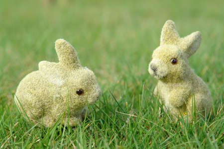 Easter bunnies in the gardenの写真素材