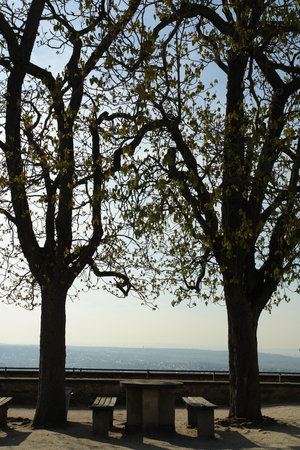 Empty picnic table between two trees and a magnificent viewの写真素材