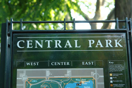 central park in new york on a warm summers dayの写真素材