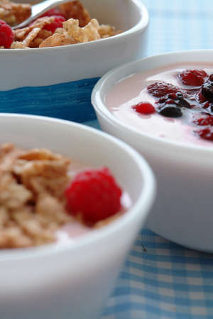 Bowl of yogurt, fruit, granola, cereals making a healthy breakfastの写真素材